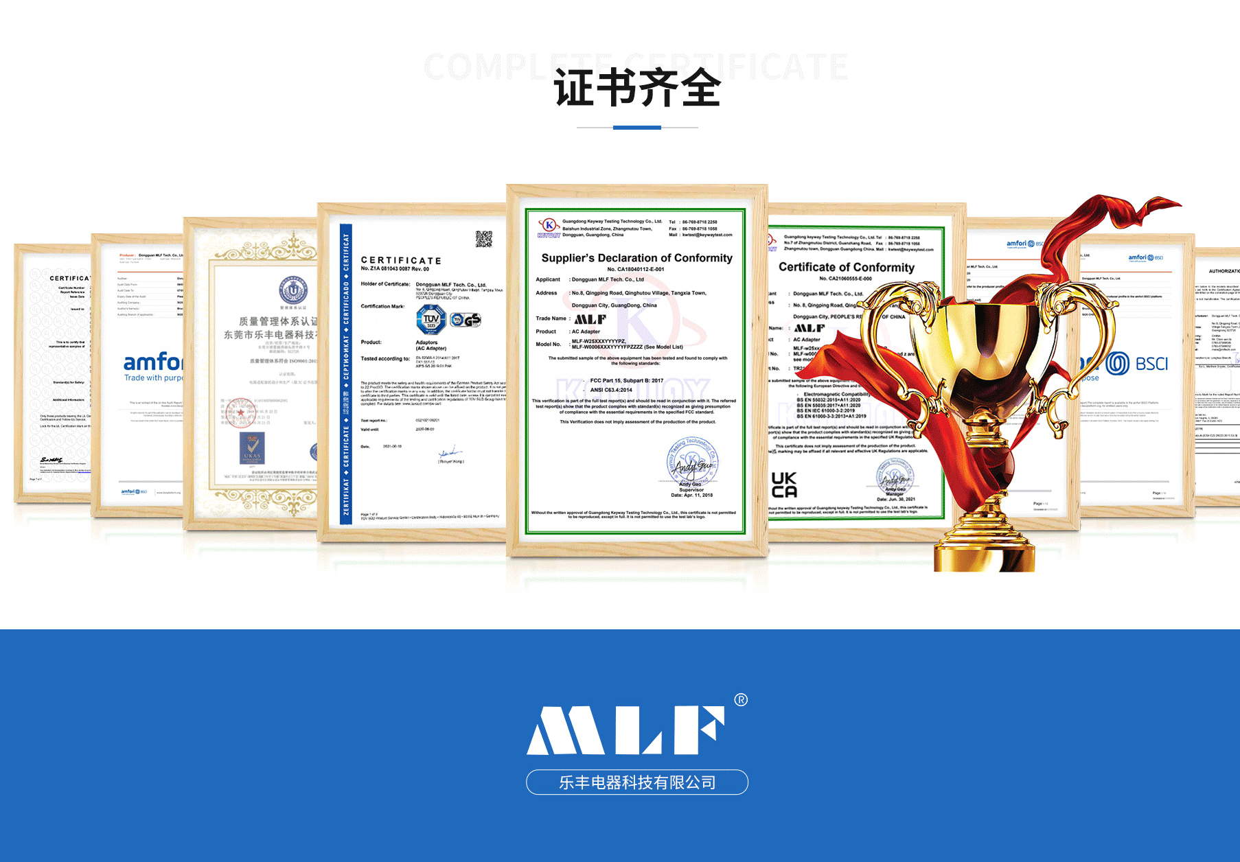 東莞市樂豐電器科技有限公司